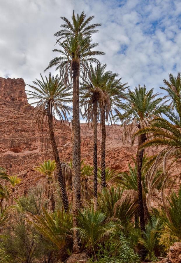 Auberge Kasbah Chez Amaliya تافراوت المظهر الخارجي الصورة