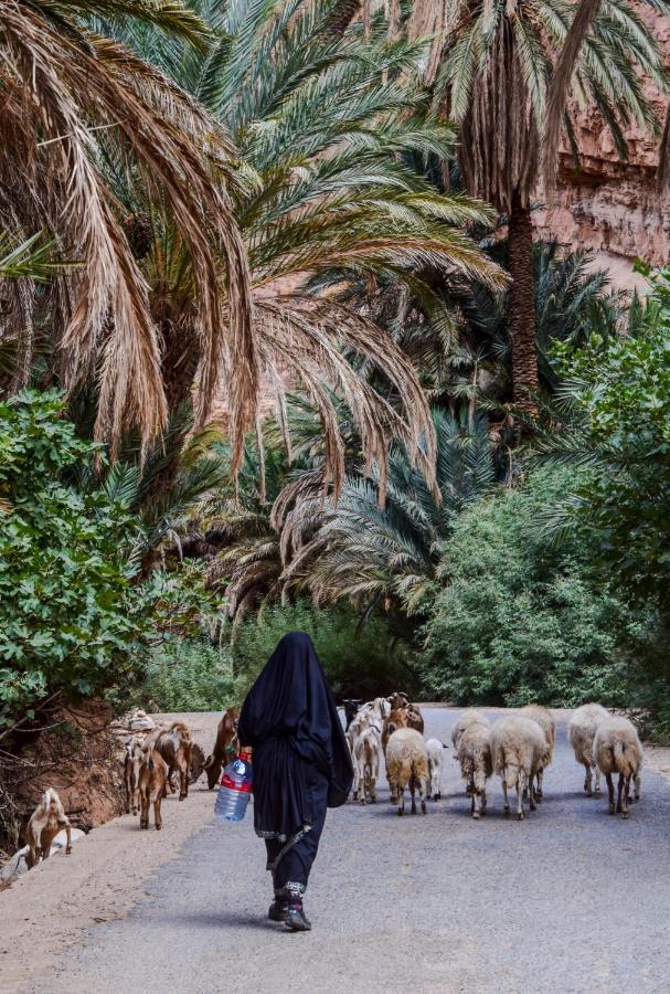 Auberge Kasbah Chez Amaliya تافراوت المظهر الخارجي الصورة
