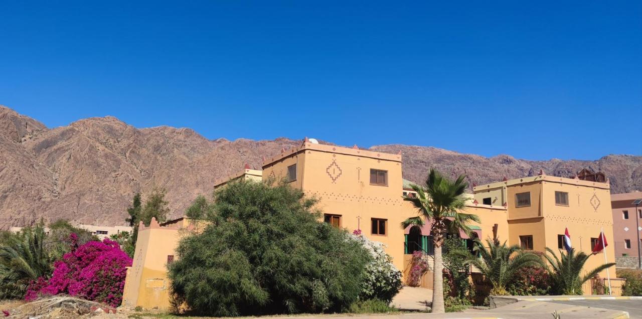 Auberge Kasbah Chez Amaliya تافراوت المظهر الخارجي الصورة