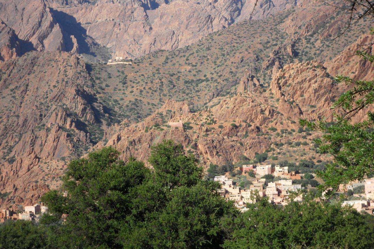 Auberge Kasbah Chez Amaliya تافراوت المظهر الخارجي الصورة